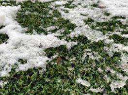 Platz wegen Eisschicht gesperrt