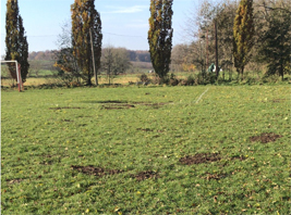 Auf schwierigem Geläuf in Klosterhäseler verlieren unsere B1-Junioren