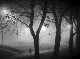 Punktspielpause in Sachsen-Anhalt